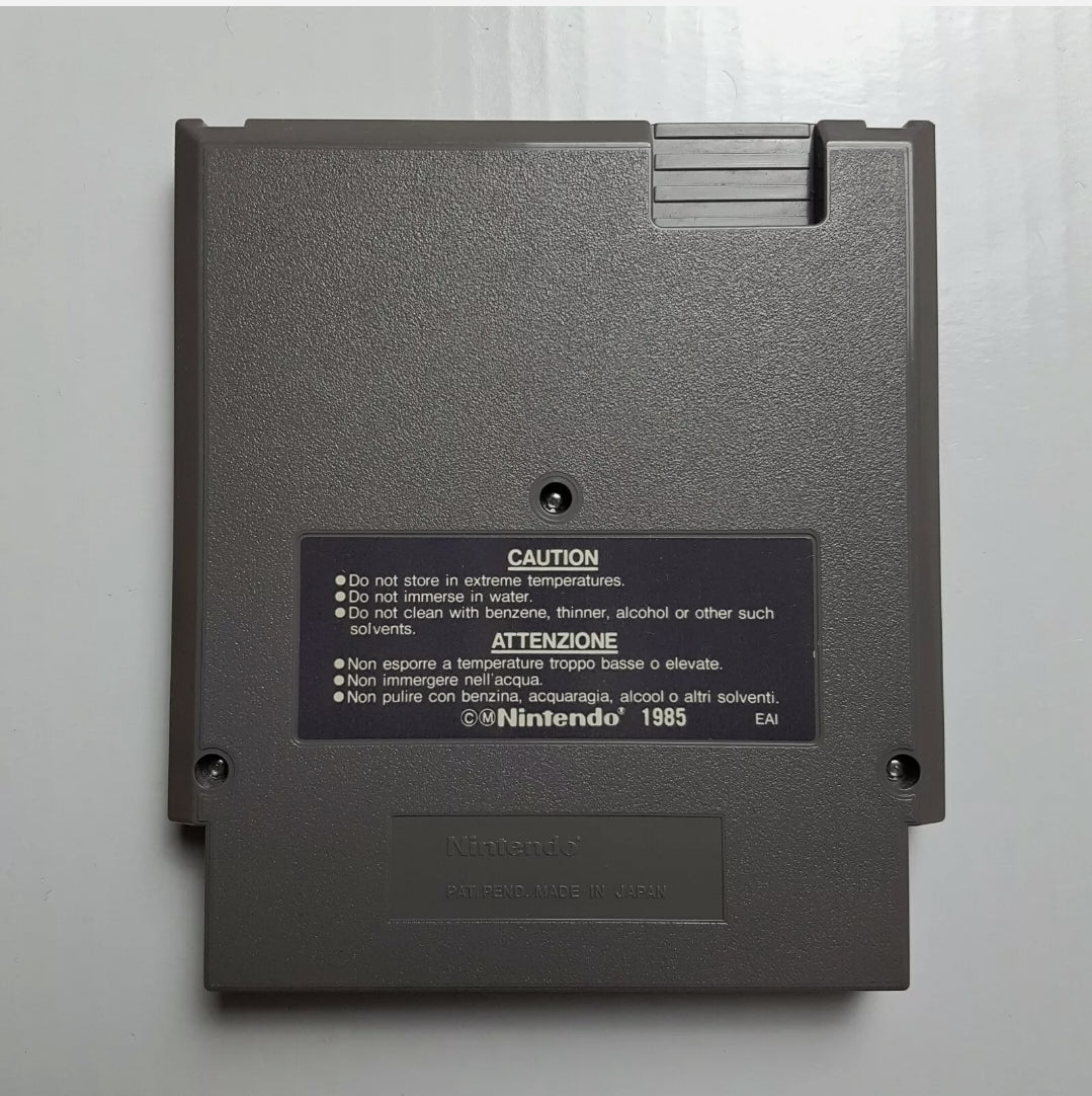 Wizards And Warriors | Nintendo NES